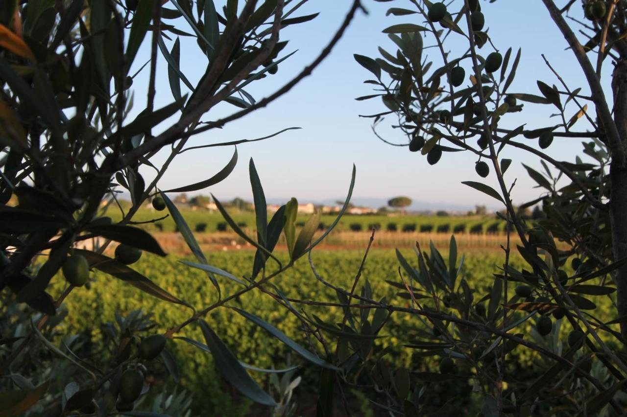 Collemezzano Agrihotel Elisabetta מראה חיצוני תמונה