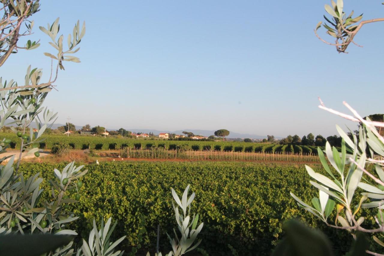 Collemezzano Agrihotel Elisabetta מראה חיצוני תמונה